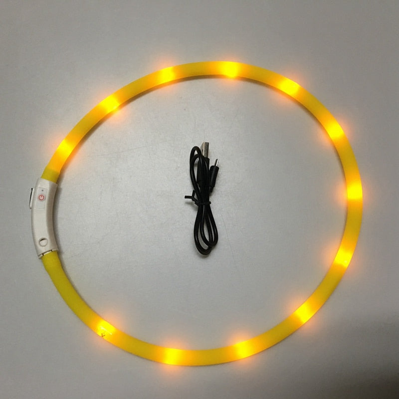 Collier LED pour animaux de compagnie